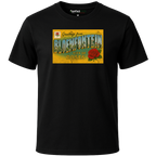 b55ca6fd-09a1-47d4-b778-9ba9c11a259c